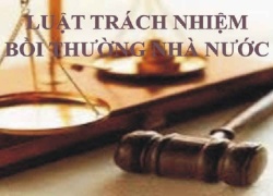 HIỂU VỀ LUẬT TRÁCH NHIỆM BỒI THƯỜNG CỦA NHÀ NƯỚC - DẪN NHẬP VỀ CÁC LOẠI HÌNH TRÁCH NHIỆM BỒI THƯỜNG - XÁC ĐỊNH CƠ QUAN GIẢI QUYẾT BỒI THƯỜNG!