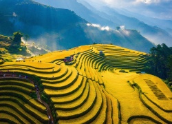 TỘI THAM Ô TÀI SẢN VÀ NHẬN DIỆN NGƯỜI CÓ CHỨC VỤ/QUYỀN HẠN TRONG CÁC DOANH NGHIỆP NGOÀI NHÀ NƯỚC: TIẾP CẬN TỪ CÁC HỌC THUYẾT PHÁP LÝ!