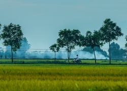 PHÁP LUẬT ĐẤT ĐAI KHÔNG CÓ QUY ĐỊNH NGƯỜI DÂN PHẢI TRỰC TIẾP SẢN XUẤT NÔNG NGHIỆP MỚI ĐƯỢC NHẬN THỪA KẾ ĐẤT NÔNG NGIỆP: DẪN CHIẾU VÀ PHÂN TÍCH!