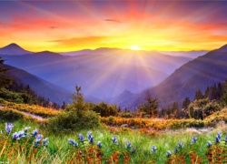 RỦI RO PHÁP LÝ TỪ VIỆC NHẬN CẦM ĐỒ (NHẬN CẦM CỐ) TÀI SẢN KHÔNG CHÍNH CHỦ: LUẬN GIẢI VÀ KHUYẾN NGHỊ!